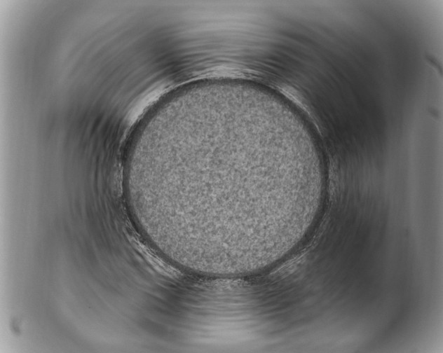 X0000099581067200806131313