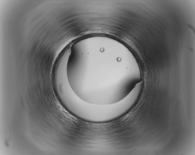 X0000099581068200806131313