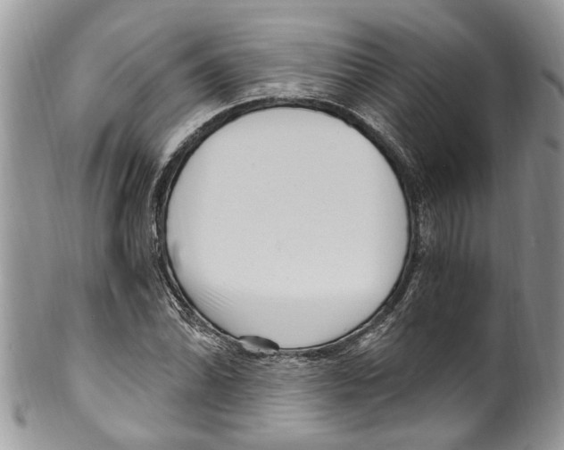 X0000099581070200806131313