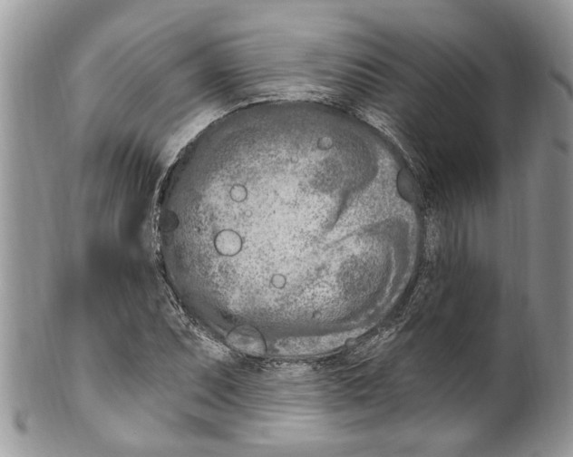 X0000099581071200806131313