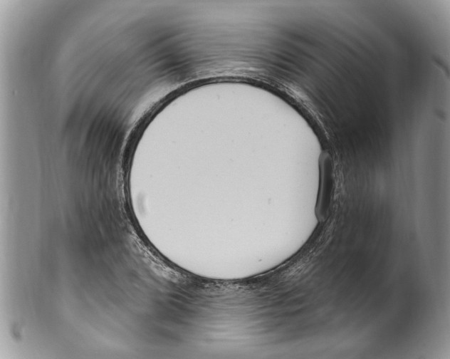 X0000099581072200806131313