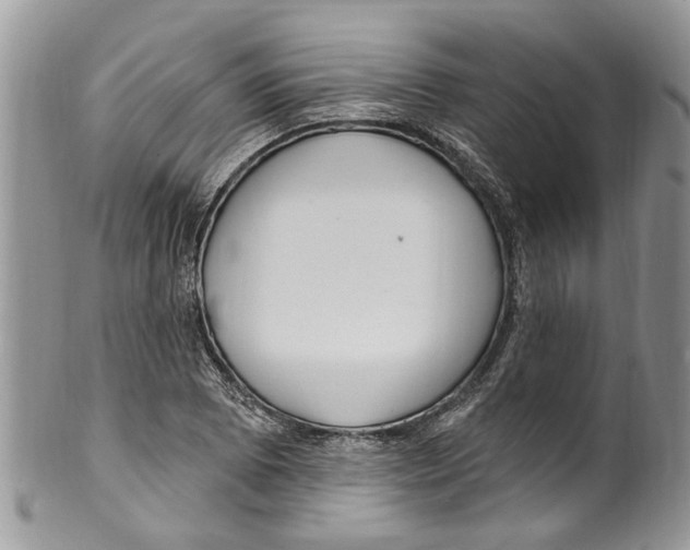 X0000099581073200806131313