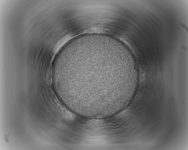 X0000099581075200806131313