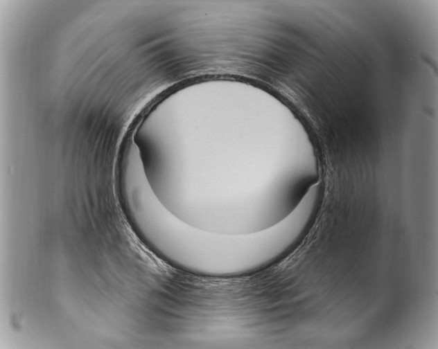 X0000099581076200806131313