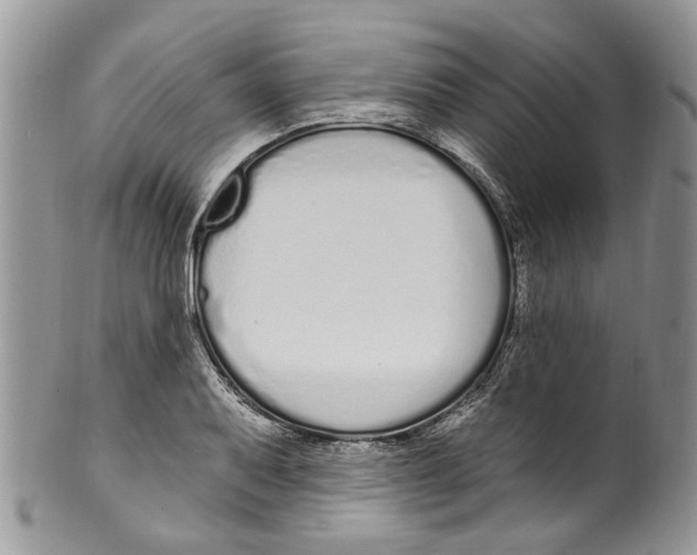 X0000099581079200806131313