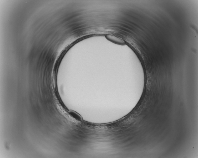 X0000099581080200806131313