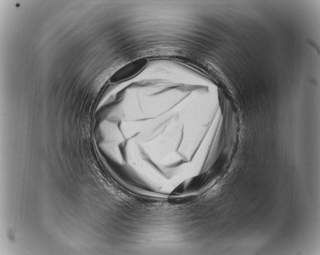 X0000099581081200806131313