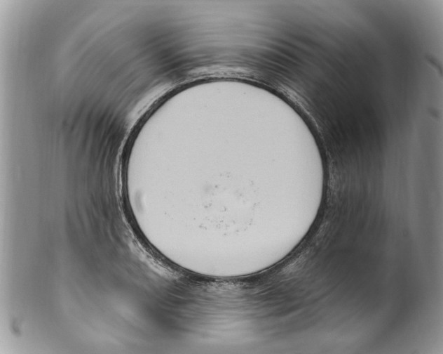 X0000099581082200806131313