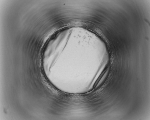 X0000099581083200806131313