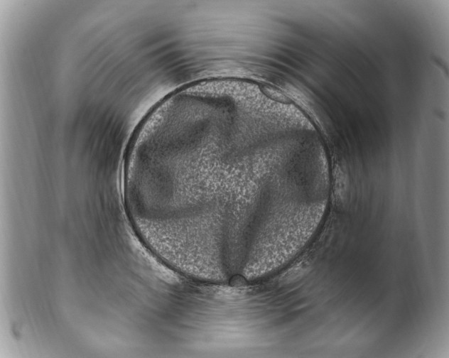 X0000099581084200806131313