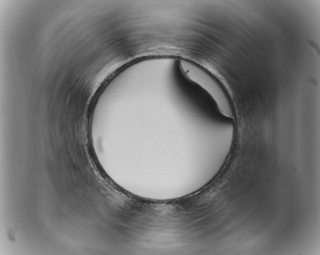 X0000099581085200806131313