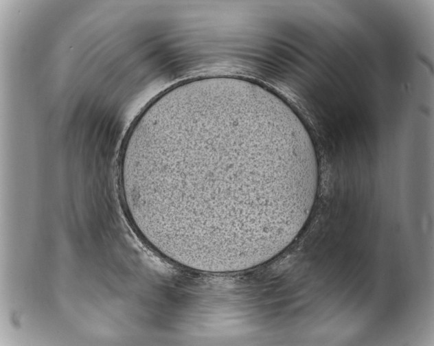 X0000099581086200806131313