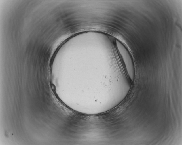 X0000099581088200806131313