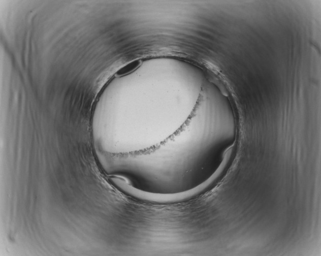 X0000099581089200806131313