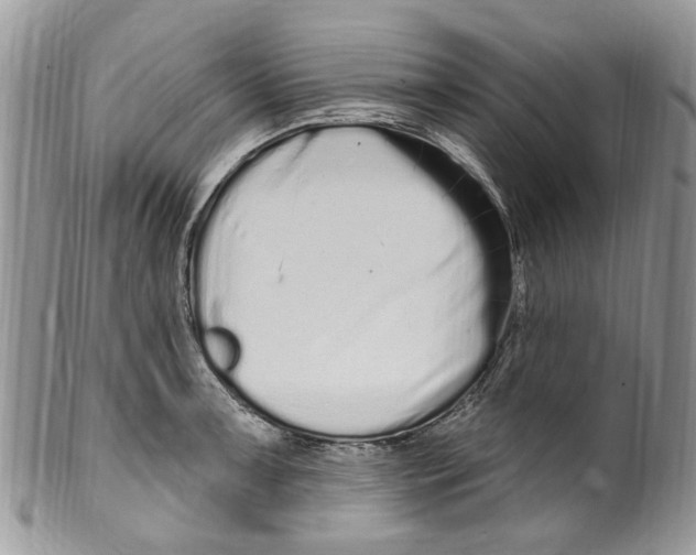 X0000099581091200806131313