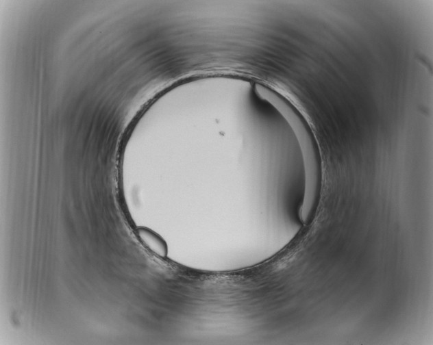 X0000099581093200806131313