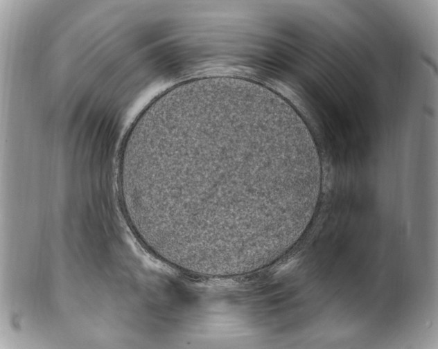 X0000099581094200806131313