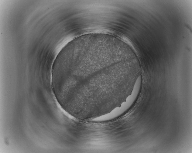 X0000099581095200806131312