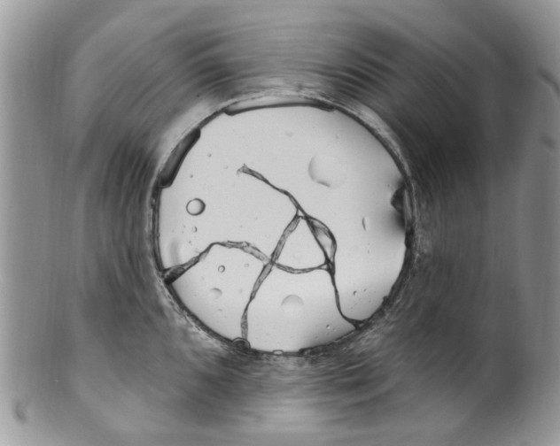 X0000099581096200806131312