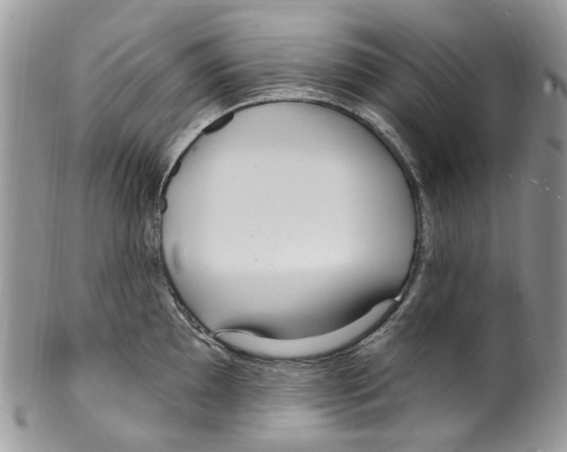 X0000099581097200806131312