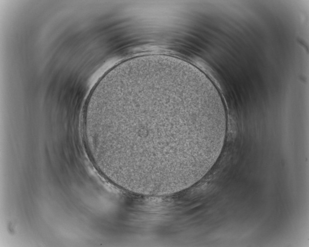 X0000099581098200806131312