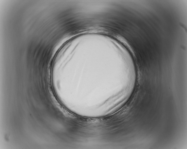 X0000099581099200806131312