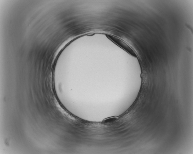 X0000099581100200806131312