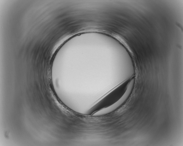 X0000099581101200806131312