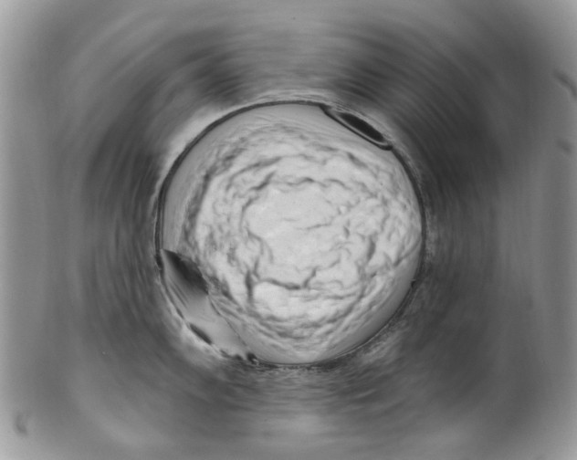 X0000099581102200806131312