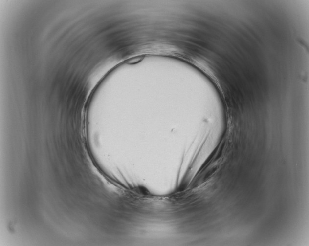 X0000099581103200806131312