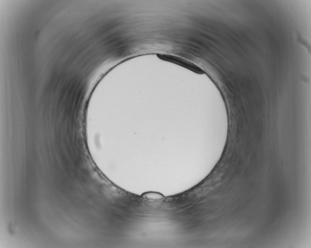 X0000099581104200806131312