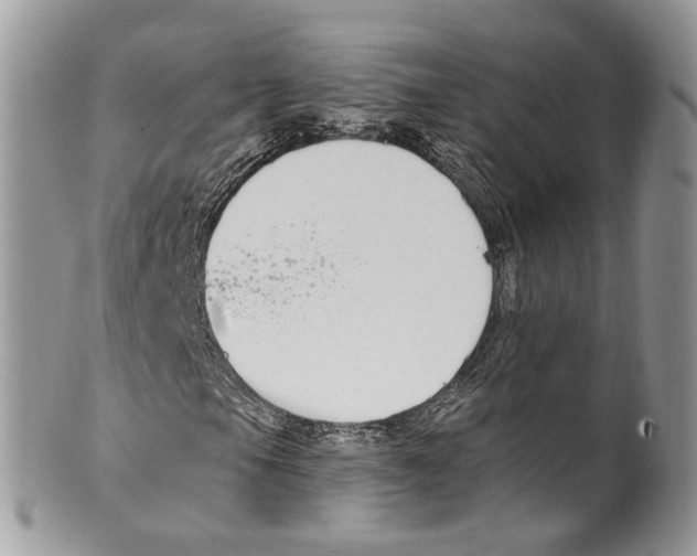 X0000099581105200806131312