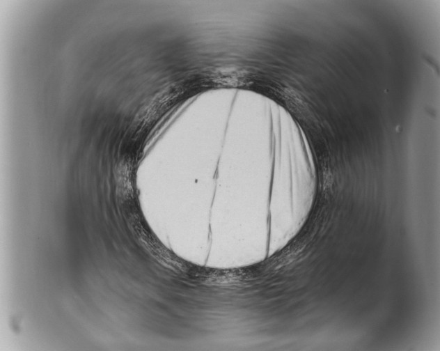 X0000099581106200806131312