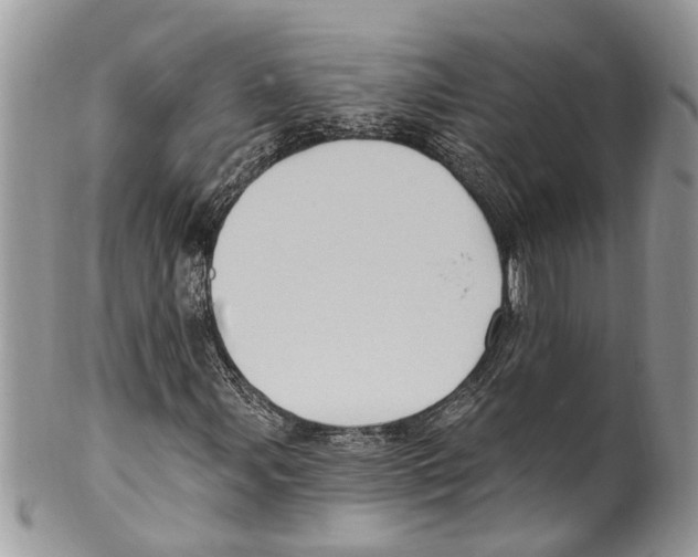 X0000099581107200806131312