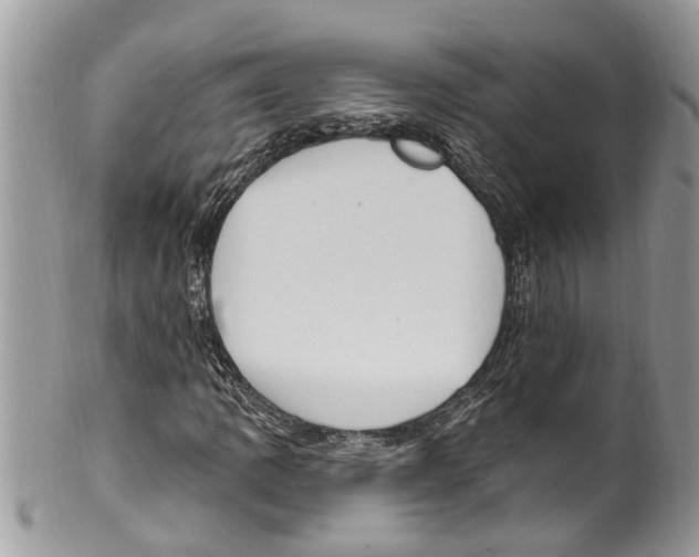 X0000099581109200806131312