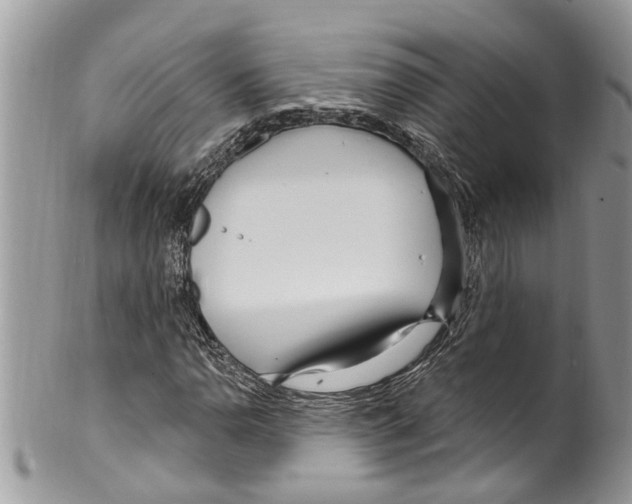 X0000099581110200806131312