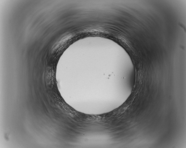 X0000099581111200806131312