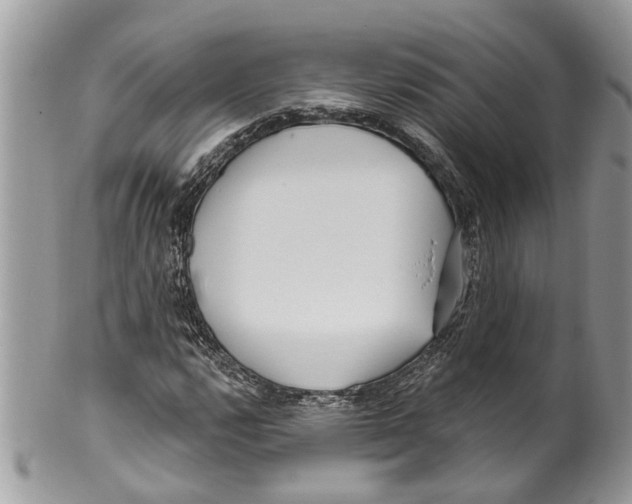 X0000099581112200806131312