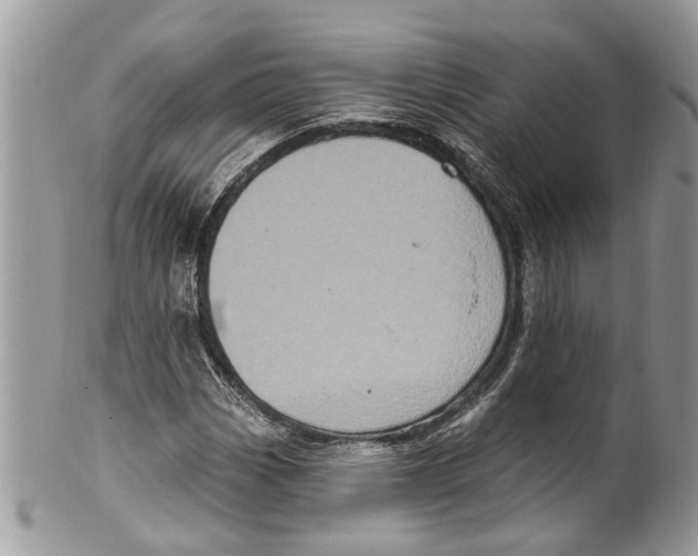 X0000099581113200806131312