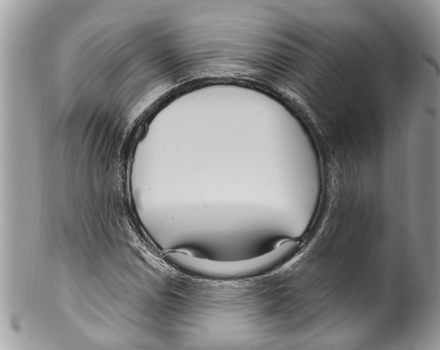 X0000099581114200806131312