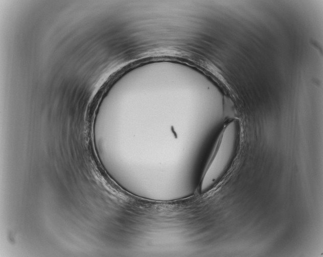 X0000099581116200806131312