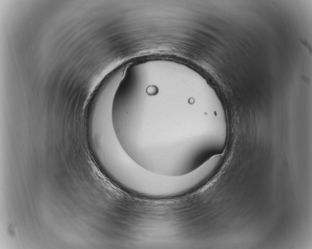 X0000099581118200806131312