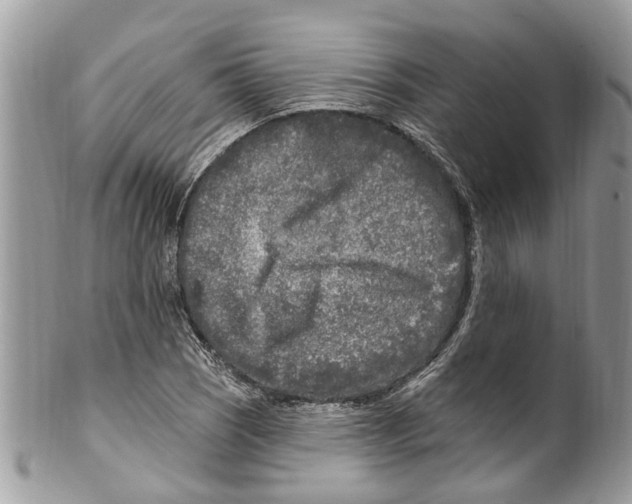 X0000099581121200806131312