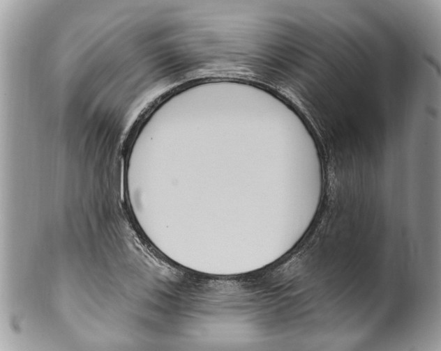 X0000099581123200806131312