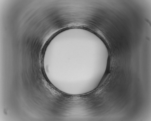 X0000099581124200806131312