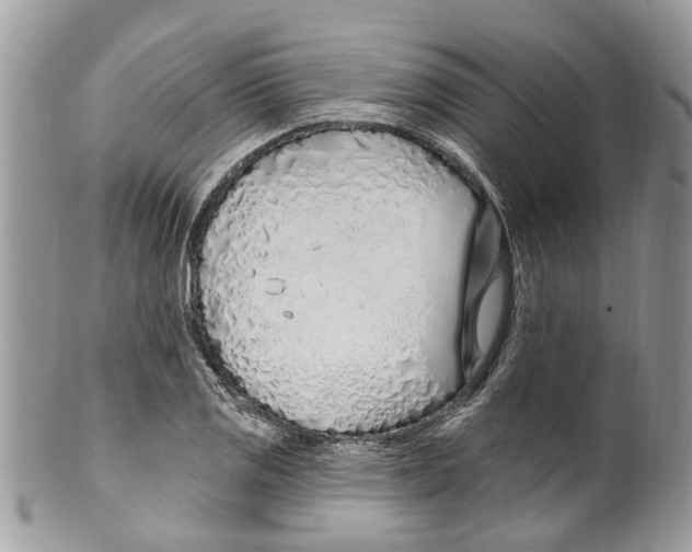 X0000099581125200806131312