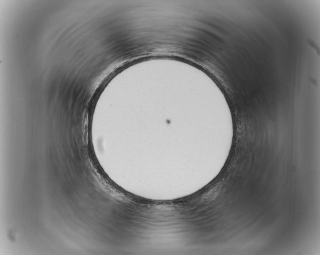 X0000099581126200806131312