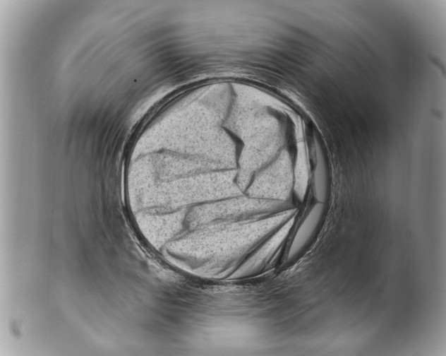 X0000099581127200806131312