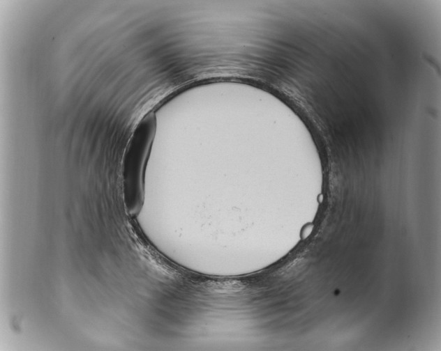 X0000099581129200806131312