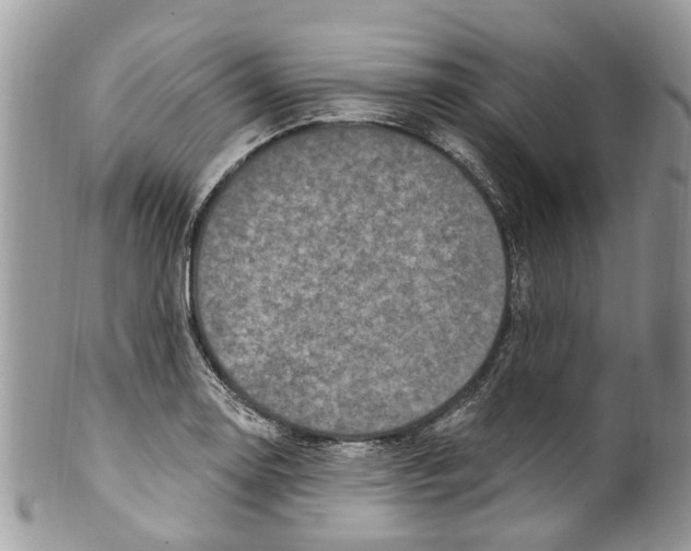 X0000099581130200806131312